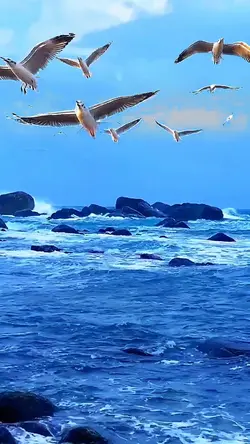 Sea scene