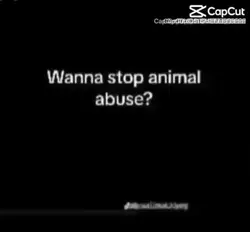 Stop animal abuse😔