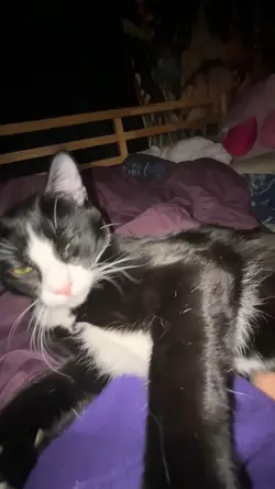 Scary shit 