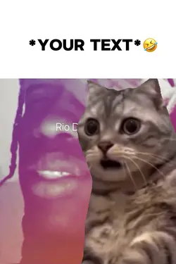 Surprised cat meme