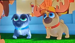 The best duo