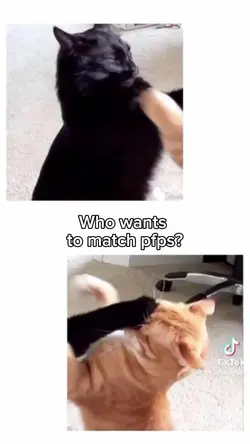 Who wants to-