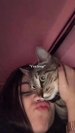 "t'es trop"