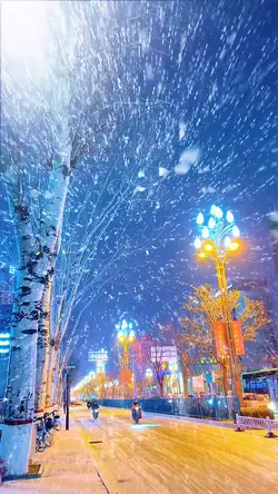 Snow night