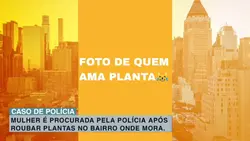 trolagem ama plantas