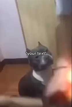 Dog ball meme