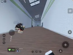 Xd