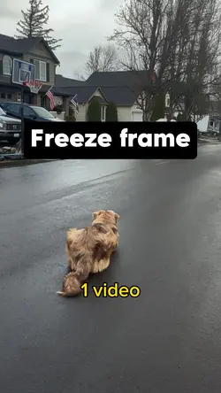 Freeze trend