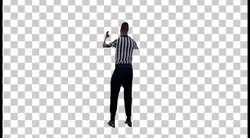 Basketball referee