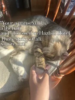 :3 