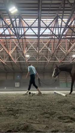 FAKE | GREEN HORSE