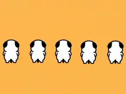 Five Dancing Dogs 🐕