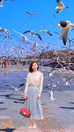 Seagulls flying