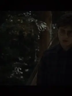 Harry & Hermione  