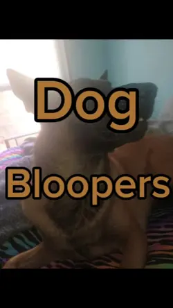 dog bloopers 