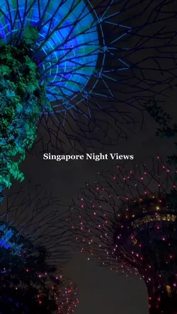 Night Views