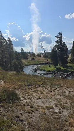 Yellowstone 