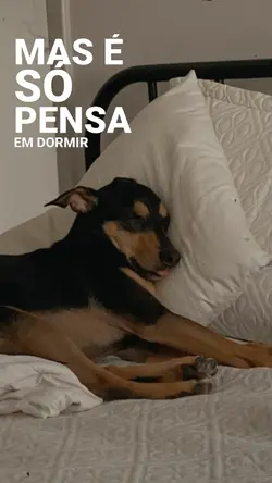 só pensa em dormir