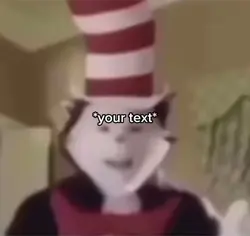Cat in hat