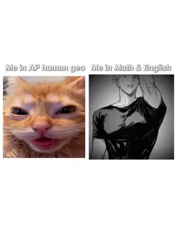 Math and English tho