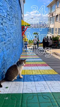 34 mini vlog