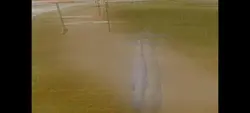 roblox horses 