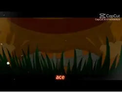 ACE🥹😭