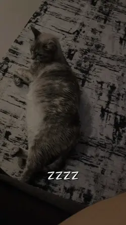 Hora zzzz
