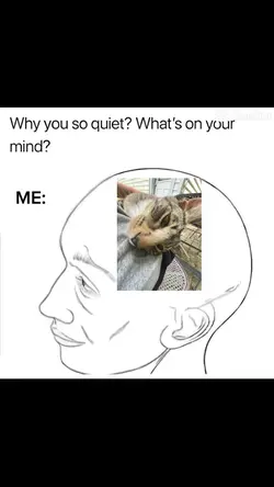 GET OUT 🤬