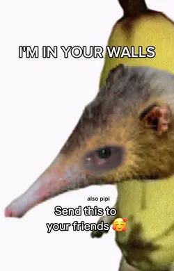 In your walls