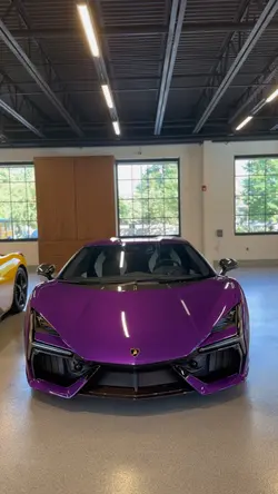 Purple Revuelto