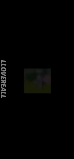 Roblox edit 