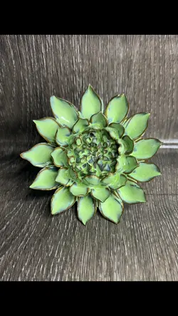 Wall flower 🌸 