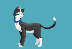 Draw cats