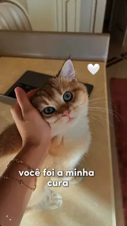 Você me salvou