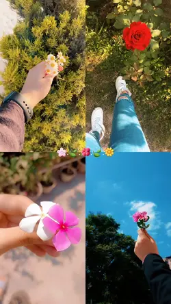 Flowers