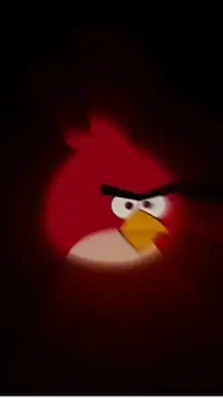 Angry birds