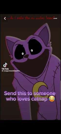 Catnap meme