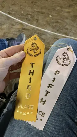 Show Day Highlights