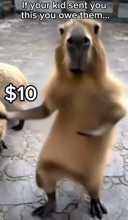 Capybara Request