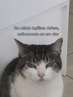 ✨ É MEME✨