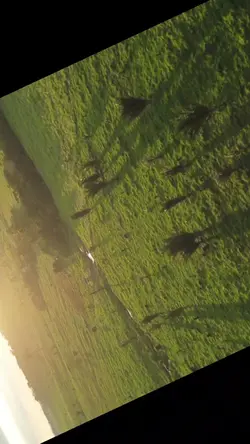 imagens aereas