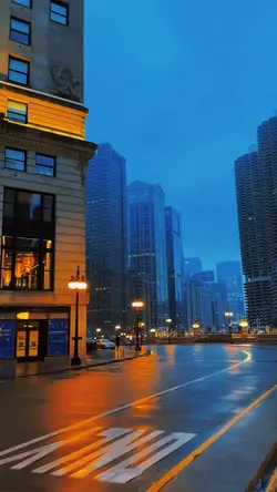 chicago 🏆
