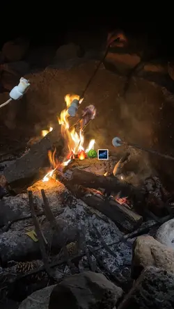 Weekend recap ⛺️🌳🔥