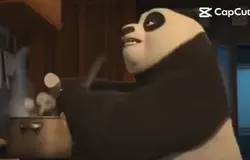CaseOh panda

