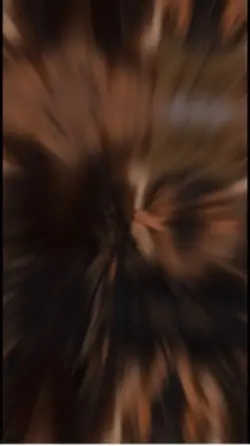 MS🙈🙂‍↔️