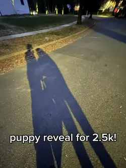 PUPPY REV
