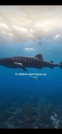 Save the oceans