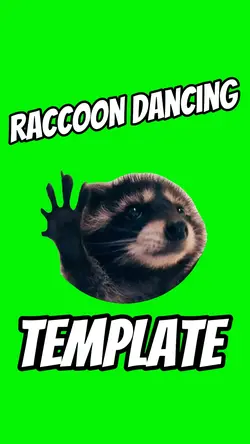Raccoon Dancing