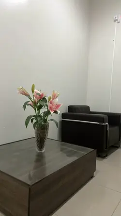 salver seu coração ❤️‍🩹
